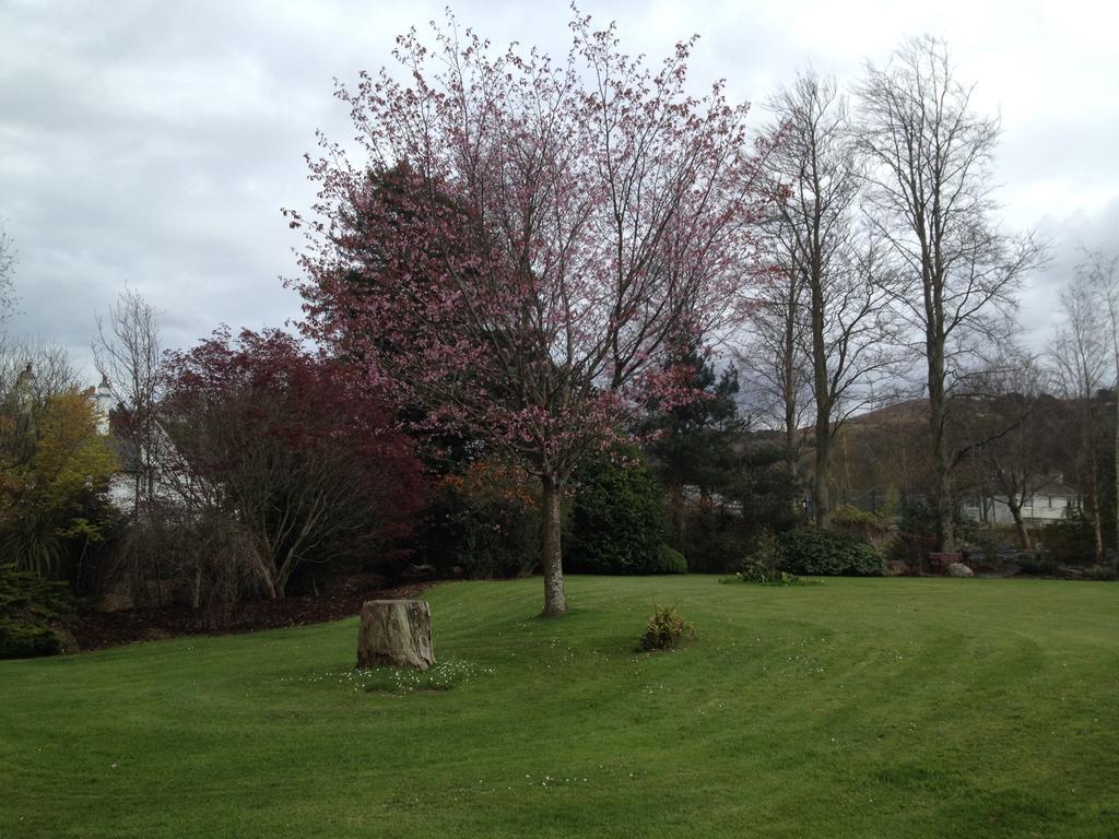 Raheen House Hotel Clonmel Exterior foto